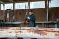 Karl-Rutz-AG-Saegerei.jpg-4